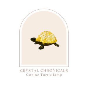 Turtle Lamp – Yellow Citrine