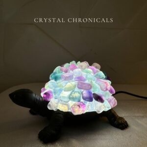 Crystal Turtle Lamp – Rainbow Fluorite