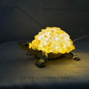 Turtle Lamp – Yellow Citrine